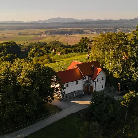 Vineyard Apartmán *