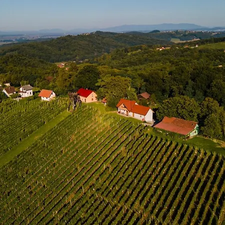 Apartmán Vineyard