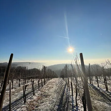 Vineyard Apartamento Velika Nedelja