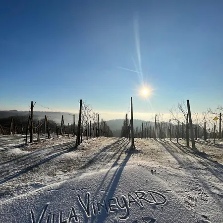 Vineyard *