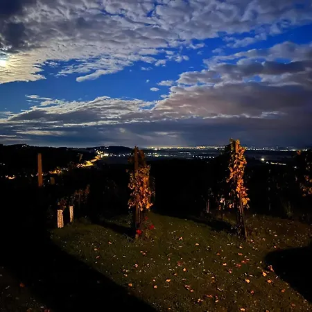Apartmán Vineyard *