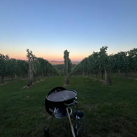 Vineyard * Velika Nedelja