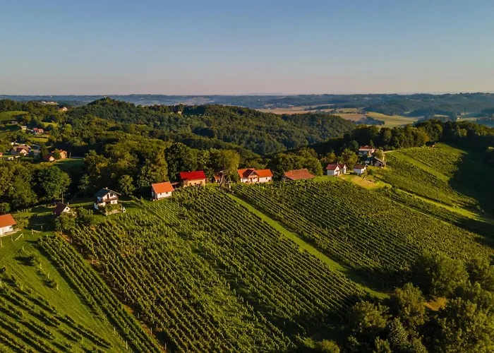 Appartamento Vineyard *