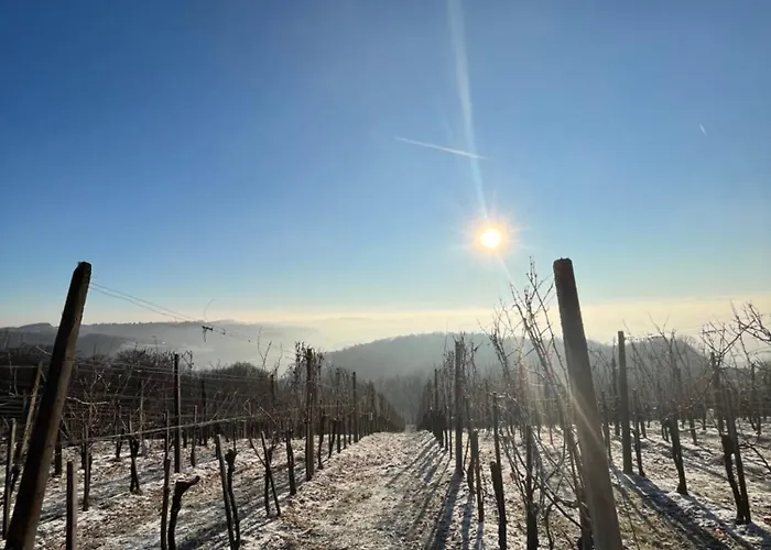 Vineyard Appartamento Velika Nedelja