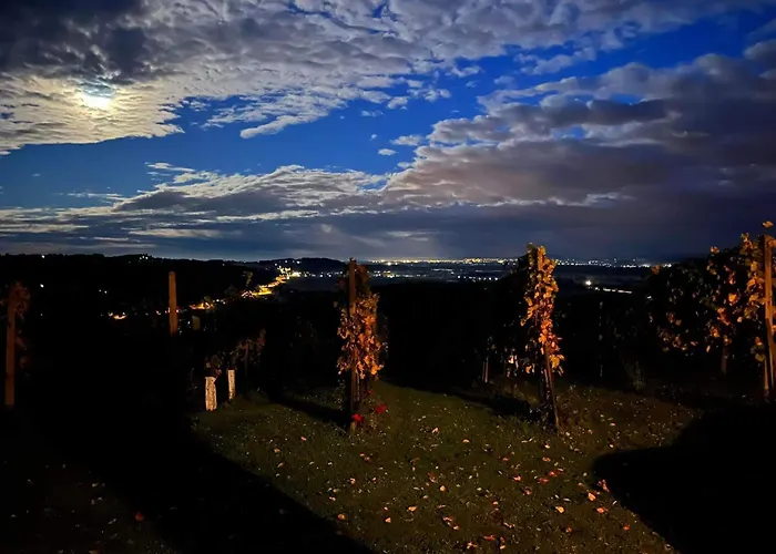 Appartamento Vineyard *