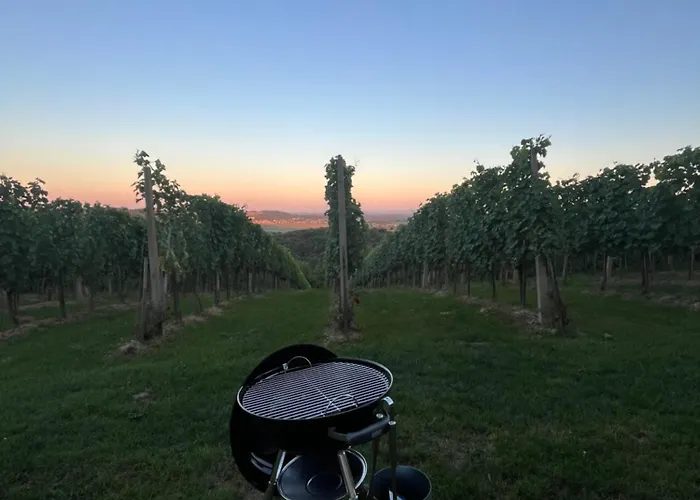 Vineyard * Velika Nedelja